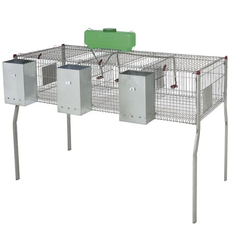 CAGE À LAPINS MODÈLE PENTA 3 (157X63X98)